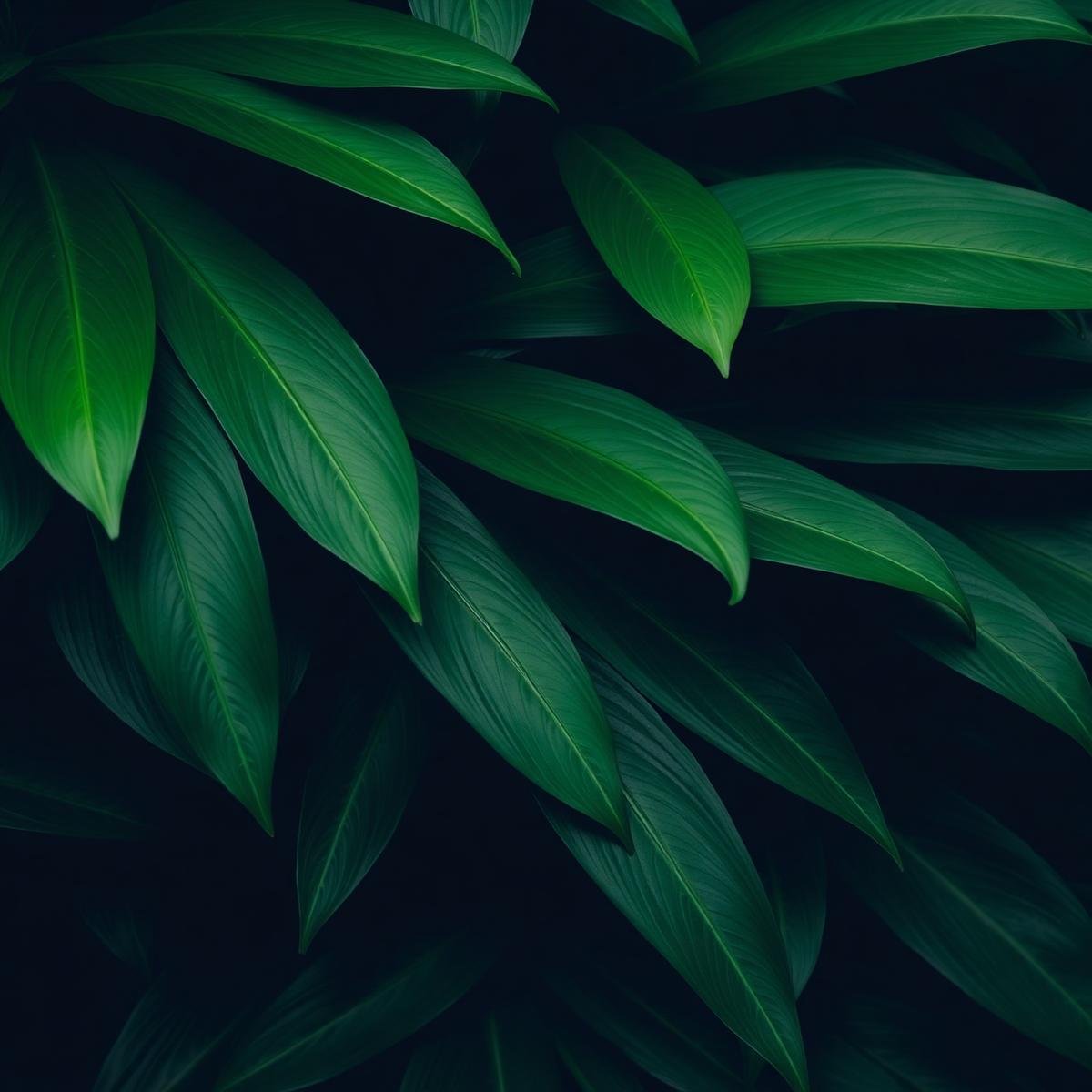 Dense native greenery, unclipped and layered